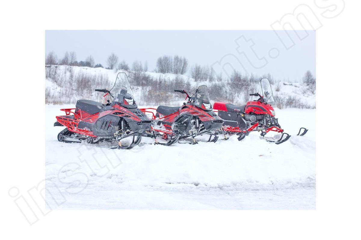 Снегоход IRBIS TUNGUS 500L, красный - фото 5
